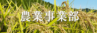 農産物栽培・販売